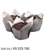 Closeup of a Magdalena Typical Spanish Chocolate Muffin. Sweet Food or Dessert. Three Fresh Baked Muffin Isolated on White Background in American Style. Irresistible Tasty Cake. Стоковое фото, агентство Ingram Publishing / Фотобанк Лори