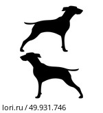 Hunter dog or gundog icon black color. Стоковая иллюстрация, агентство Ingram Publishing / Фотобанк Лори