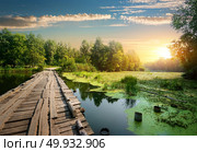 Bridge over a swampy river on sunrise. Стоковое фото, агентство Ingram Publishing / Фотобанк Лори