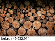Background of firewoods stacked in pile close up. Firewoods close up. Стоковое фото, агентство Ingram Publishing / Фотобанк Лори