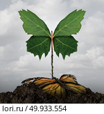 Life concept  and renewal or hope idea as a return from the dead and reincarnation or recovery and rebirth surreal metaphor in a 3D illustration style.. Life Concept. Стоковое фото, агентство Ingram Publishing / Фотобанк Лори