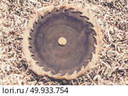 Carpenter tools on wooden table with sawdust. Carpenter workplac. Carpenter tools on wooden table with sawdust. Carpenter workplace top view. Carpenter tools on wooden table with sawdust. Carpenter workplace top view. Стоковое фото, агентство Ingram Publishing / Фотобанк Лори