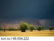 paddy field with Clouds, rain and storm. Стоковое фото, агентство Ingram Publishing / Фотобанк Лори