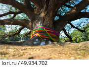 The tree with the largest shade in Thailand at Kanchanaburi. Стоковое фото, агентство Ingram Publishing / Фотобанк Лори