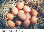 easter chick egg, vintage filter image. Стоковое фото, агентство Ingram Publishing / Фотобанк Лори