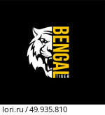intimidating tiger front view theme logo template. intimidating tiger front view theme logo template vector. Стоковая иллюстрация, агентство Ingram Publishing / Фотобанк Лори