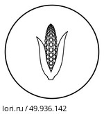 Maize icon black color in circle round outline. Стоковая иллюстрация, агентство Ingram Publishing / Фотобанк Лори