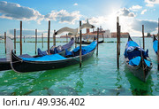 Gondolas in Grand Canal in Venice, Italy. Seagull over gondolas. Стоковое фото, агентство Ingram Publishing / Фотобанк Лори