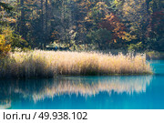 Goshiki-numa Five Colour Pond in Autumn, Urabandai, Fukushima, Japan. Стоковое фото, агентство Ingram Publishing / Фотобанк Лори
