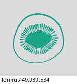 Icon of Kiwi. Gray background with green. Vector illustration. Стоковое фото, агентство Ingram Publishing / Фотобанк Лори