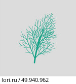 Dill icon. Gray background with green. Vector illustration. Стоковая иллюстрация, агентство Ingram Publishing / Фотобанк Лори