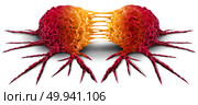 Dividing cancer cell metastasis division as a disease anatomy concept as a growing malignant tumor on an organ inside the human body as a 3D illustration on a white background. Стоковое фото, агентство Ingram Publishing / Фотобанк Лори
