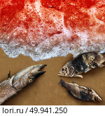 Red tide algae deadly natural toxin found in the ocean or sea as a marine life death concept as a conceptual in a 3D illustration style. Стоковое фото, агентство Ingram Publishing / Фотобанк Лори