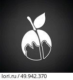 Icon of Peach. Black background with white. Vector illustration. Стоковая иллюстрация, агентство Ingram Publishing / Фотобанк Лори
