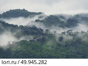 Forested mountain slope in low lying cloud with the evergreen conifers shrouded in mist in a scenic landscape view. Стоковое фото, агентство Ingram Publishing / Фотобанк Лори