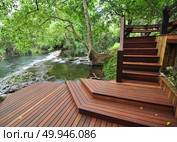Wood boards along the streams, forest filed. Стоковое фото, агентство Ingram Publishing / Фотобанк Лори