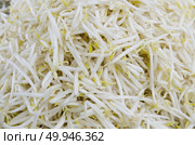 close-up to Bean sprouts background. Стоковое фото, агентство Ingram Publishing / Фотобанк Лори