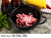 Marinated baby octopus snack appetizer. Стоковое фото, фотограф Андрей Старостин / Фотобанк Лори