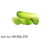 fresh cucumbers isolated on white. Стоковое фото, агентство Ingram Publishing / Фотобанк Лори