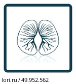Icon of Mandarin. Shadow reflection design. Vector illustration. Стоковая иллюстрация, агентство Ingram Publishing / Фотобанк Лори