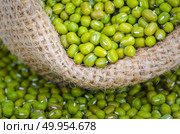 stilllife picture of nuts beans on wooden floor. Стоковое фото, агентство Ingram Publishing / Фотобанк Лори