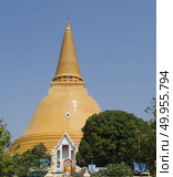 Phra Pathom Chedi, the tallest stupa in the world. It is located. Phra Pathom Chedi, the tallest stupa in the world. It is located in the town of Nakhon Pathom, Thailand. Стоковое фото, агентство Ingram Publishing / Фотобанк Лори