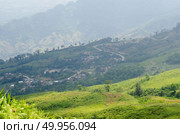 Rice fields of terraced in Asia. Стоковое фото, агентство Ingram Publishing / Фотобанк Лори