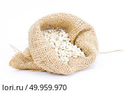 Beans in sack. Стоковое фото, агентство Ingram Publishing / Фотобанк Лори