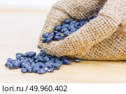 stilllife picture of nuts beans on wooden floor. Стоковое фото, агентство Ingram Publishing / Фотобанк Лори