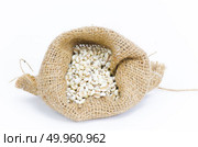 Beans in sack isolated on white. Стоковое фото, агентство Ingram Publishing / Фотобанк Лори