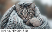 A cat is curled up and wrapped snugly in a blanket, looking cosy and comfortable. Стоковое AI-изображение, AI-художник Данила Большаков / Фотобанк Лори