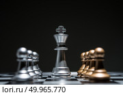 Chess photographed on chessboard while the game begin. Стоковое фото, агентство Ingram Publishing / Фотобанк Лори