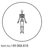 Human skeleton icon black color in round circle outline vector illustration. Стоковая иллюстрация, агентство Ingram Publishing / Фотобанк Лори