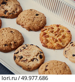Baking tray with homemade vegetarian cookies with peanuts, chocolate chips, raisins. Healthy vegan food eating.. Close-up of homemade peanut biscuits with chocolate chunks for dieting vegan eat on a baking sheet. Стоковое фото, агентство Ingram Publishing / Фотобанк Лори
