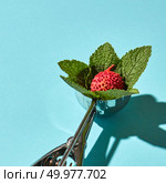 Creative composition from litchi fruit with mint leaves in the metal spoon for ice cream on a blue glass background with shadows. Food modern style.. The spoon for ice cream with litchi fruit and mint leaves on a blue background with hard shadows. Food concept. Стоковое фото, агентство Ingram Publishing / Фотобанк Лори