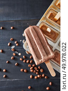 Homemade chocolate ice cream in plastic molds over wooden dark background, top view. Homemade prepare concept. Classic popsicle mold set freezer for homemade chocolate ice lolly in summer over wooden dark background, top view. Стоковое фото, агентство Ingram Publishing / Фотобанк Лори