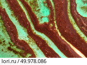 Creative geometric background with melting colorful sorbet in a green and brown tones. Top view.. Green and brown abstract curve strips of melted ice cream. Summer background close-up. Стоковое фото, агентство Ingram Publishing / Фотобанк Лори