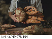 Baker in a black apron holds a variety of bread, rye bread, baguette,fougas, on the background of an old brown table. Baker in black apron holds variety of bread. Стоковое фото, агентство Ingram Publishing / Фотобанк Лори