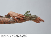 Woman hands with tatoo holding branch of flowers on a gray background with place for text.. A girl with a tattoo on her hands holding a flowers on a gray. Стоковое фото, агентство Ingram Publishing / Фотобанк Лори