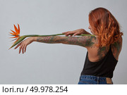 Sexy young girl with a tattoo holds an orange strelitzia flower around a gray background with copy space. Layout for your ideas. Exotic strelitzia flower decorates a woman’s hand with a tattoo on a gray background with copy space for text. Стоковое фото, агентство Ingram Publishing / Фотобанк Лори