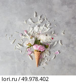 Blooming white and pink pions, buds, green leaf in a wafer cones with petals on a gray stone background, copy space. Concept of congratulations for Valentines Day.. Summer greeting card of beautiful flowers pion in a wafer cups with petals on a gray stone table. Flat lay. Стоковое фото, агентство Ingram Publishing / Фотобанк Лори