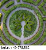 Birds eye view from the drone to a garden labyrinth of round form in the summer day in the evening.. Round form of a labyrinth of sheared bushes, top view from the drone. Topiary art. Стоковое фото, агентство Ingram Publishing / Фотобанк Лори