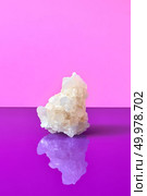 Rock salt in a big crystal on a doutone pink -violet pantone background with reflection, place for text.. Crystal of sea salt with reflaction isolatad on a duotone violet background. Стоковое фото, агентство Ingram Publishing / Фотобанк Лори