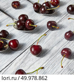 Dark red ripe juicy berries in the three metal spoons and around them on a gray wooden background.. Organic fresh cherries on wooden gray background. Стоковое фото, агентство Ingram Publishing / Фотобанк Лори