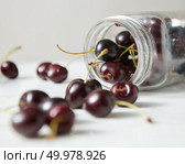 Natural fresh home grown fruits cherries of close-up. Ingredients for delicious berries jam on kitchen table.. Summer delicious sweet red berries on a white, close-up with shallow depth of field. Стоковое фото, агентство Ingram Publishing / Фотобанк Лори