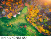 Aerial view of amazing autumn park in europe in the evening. Landscape with trees with colorful leaves, field with green grass and paths in fall. Scenery from flying drone. Top view of forest. Nature. Стоковое фото, агентство Ingram Publishing / Фотобанк Лори