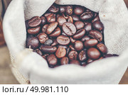 Smell of freshly grinded coffee. Стоковое фото, агентство Ingram Publishing / Фотобанк Лори