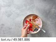 A woman’s hand puts a red fresh piece of strawberry on a concrete background into a plate with a healthy breakfast of pink yoghurt smoothie with berries and oatmeal flakes. Flat lay with copy space. Preparation of a healthy pink smoothie made of strawberry with yoghurt and porridge on a concrete background. Стоковое фото, агентство Ingram Publishing / Фотобанк Лори