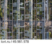 The old building of the greenhouse greenhouse in ruined condition with a view from above, shot by drones. Aerial view old construction of greenhouses. Стоковое фото, агентство Ingram Publishing / Фотобанк Лори