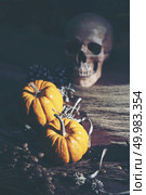 Halloween pumpkin, vintage filter image. Стоковое фото, агентство Ingram Publishing / Фотобанк Лори